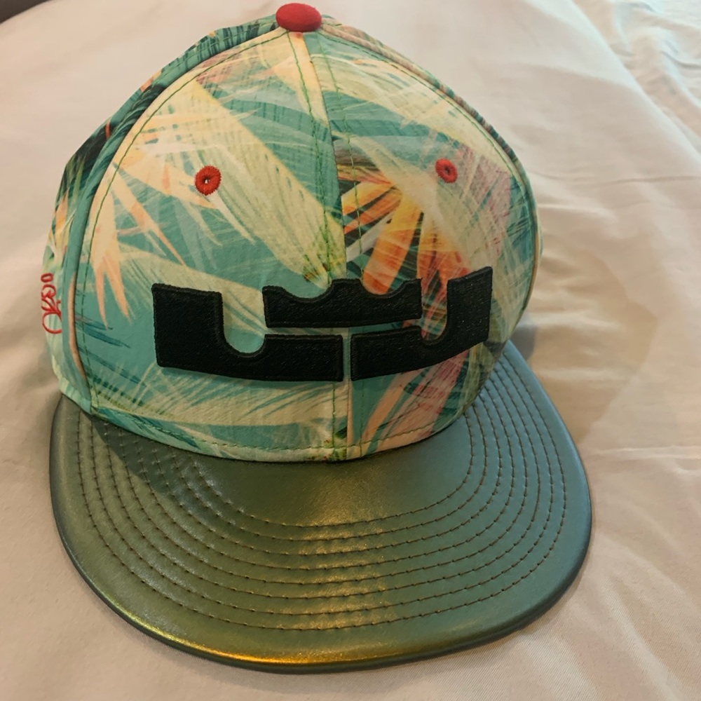 LEBRON JAMES Nike True hat one size fits all like new